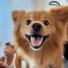 chixennoodlesouup