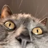 short1username