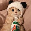 yakult.addict
