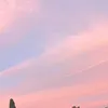 aestheticaccount115