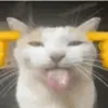 ihyaddy
