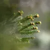 farming.in.lens