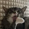 .ben__dover