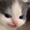 latlaland