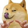 ongphuthuyidv5