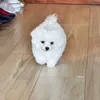 mari_momi