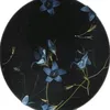 poetryofpetals
