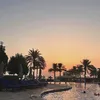 saudionline