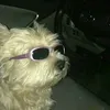meggucci