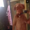 cambriaj3an