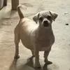 hanghangmimiboo
