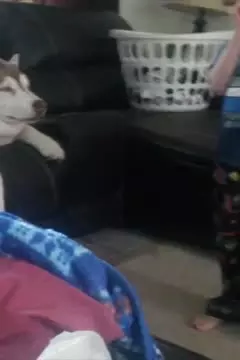 #afv
