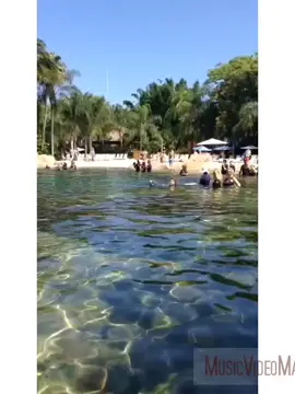 Discovery Cove