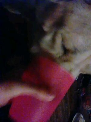 she stole meh water... 😝😝😝 -- slobber.... EVERYWHERE!