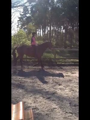 Me riding big star bareback