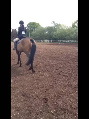 Dressage warm up on belle girl 5th