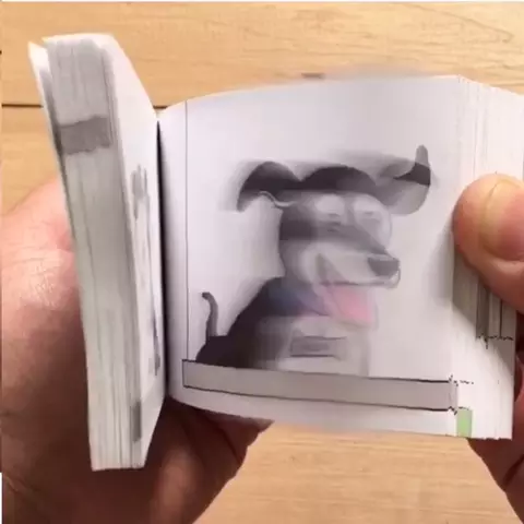 #flipbook #featured #dog #musicallyapp #feature #book #turkey #featurethis   Perfect! 😍🤩