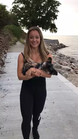 MY FAVOURITE KIND OF WORKOUT 🐶❤️😂😂😂 #LazyDog #WalkingLunges #workout #fun #dog
