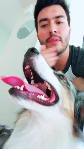 DOG BEATBOX COLLAB 😂😂😂
