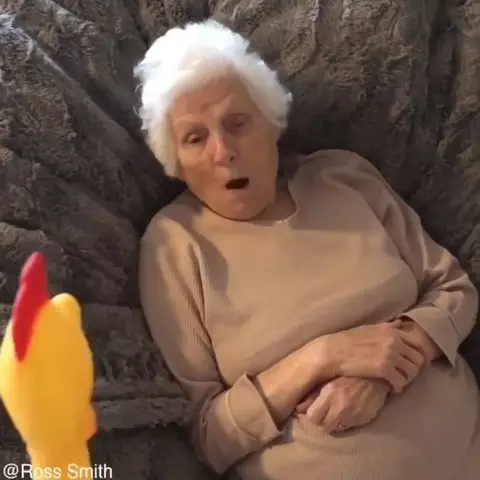 My grandma is afraid of a chicken 🐓 