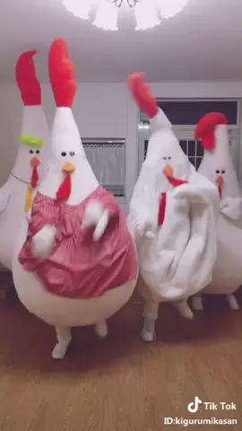 #コケコケダンス チャレンジ始まります！一緒に思い切り踊ってね🐔🎶このあと反転動画出します↔️