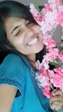 🌸🌸🌸🌸