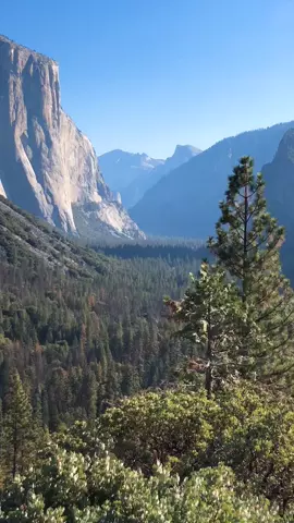 🙊🙊 wait till the end and you can see it!!