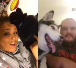 #duet with @robertgarrisoniii #angrypuppy hahaha 💚🧡🐻