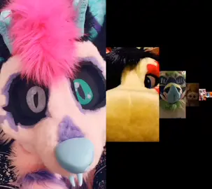 #duet with @dragorawthunder My first duet! Something simple and easy ^^ #fursuit #furry
