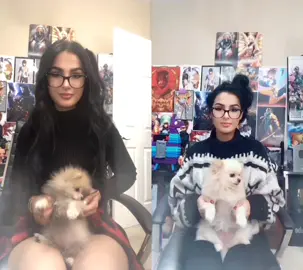 New puppy, gotta start em young #duet #tiktok #foryoupage #foryou