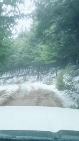 Tried to do some mudding in the snow 😁😋 #countryginger #foryou #foryoupage #northerncalifornia