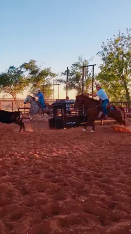 Got gray coming along good! #dospies #teamropin