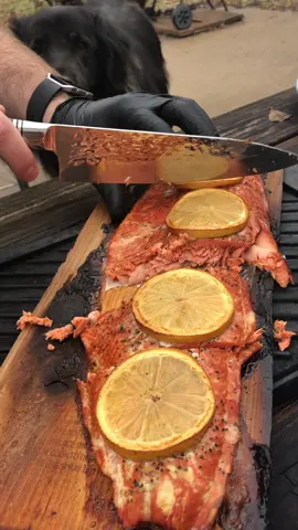 Cedar planned salmon 🔥 #cookingwithjustin #salmon #cedarplank #tiktokcooking #seafood #wild