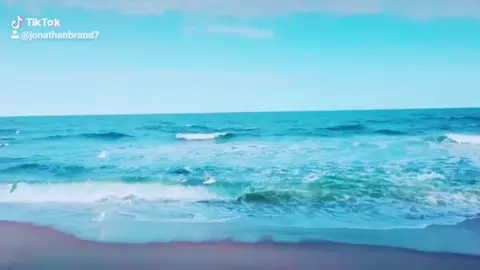 #foryoupage #mylife #beachfront #seagulls #viral#beautiful #blue#ocean