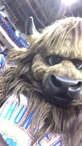 Rumble the Bison is always up to something! 😂 🏀: Thunder vs. Portland in Game 5 (10:30pm/et, TNT)