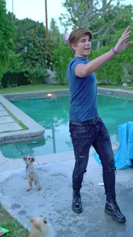 The dogs couldn’t find the water ballons cause they exploded 😅 🎥 @benjackson1111 /Înstàgrám:javilq