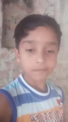 lodo