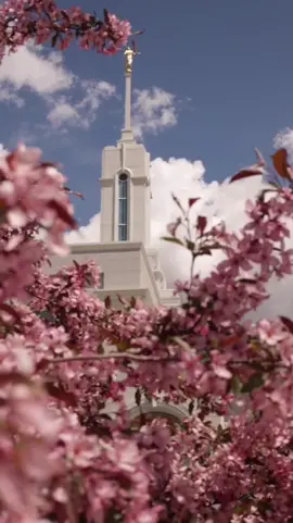 Where can you find peace? #sharegoodness #lds #churchofjesuschrist #temples #peace
