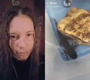 rats are life! #duet with @stressinabox #foryou #dreadhead #girlswithdreads #rats