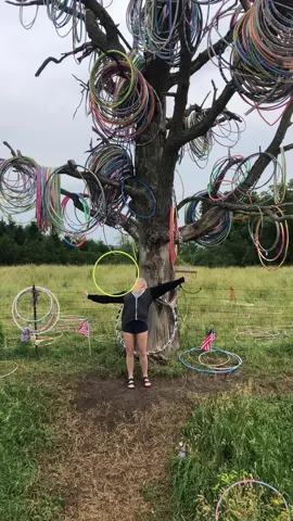 I found a hoop tree in Iowa #foryou #fyp #hooplah