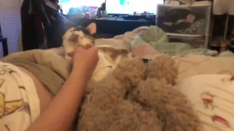 I had a bad sinus infection so I haven’t been able to sing her lullabies in a while