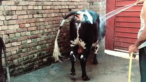 😂😂😂😂