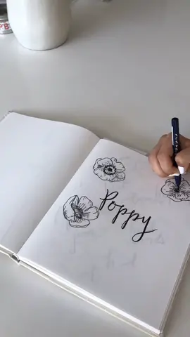 Inking some Poppies for this cute DIY wall art! #tiktokpartner #DIY #flowers