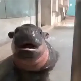 Tag a friend who is this in the shower 💧#foryou
