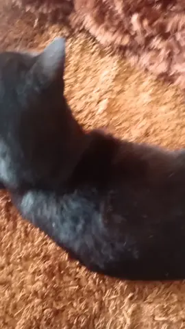 นอนอย่างเดียว