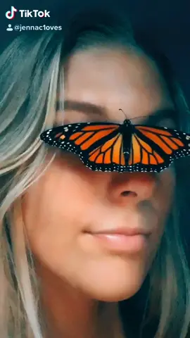 Meet Daisy😌🦋 #foryou #YouOwnIt #waitaminute #foryoupage