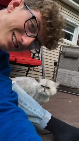 Literally was sitting here and a cat came up to me 😂❤️ #feature #featureme #tiktok #foyou