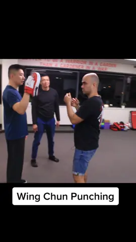 A few types of punching in #wingchun #kungfu #martialarts #selfdefense #ipman #wingchunkungfu