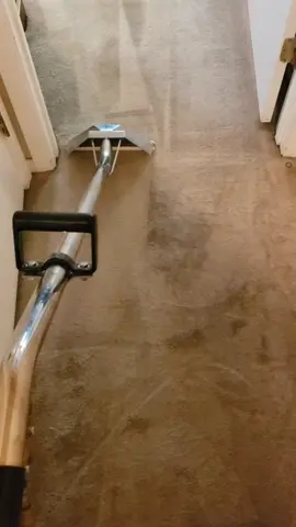 super satisfying cleaning 20yr old carpet. #satisfying  #supersatisfying  #carpetcleaning  #4yp #foryourpage
