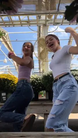 Gang